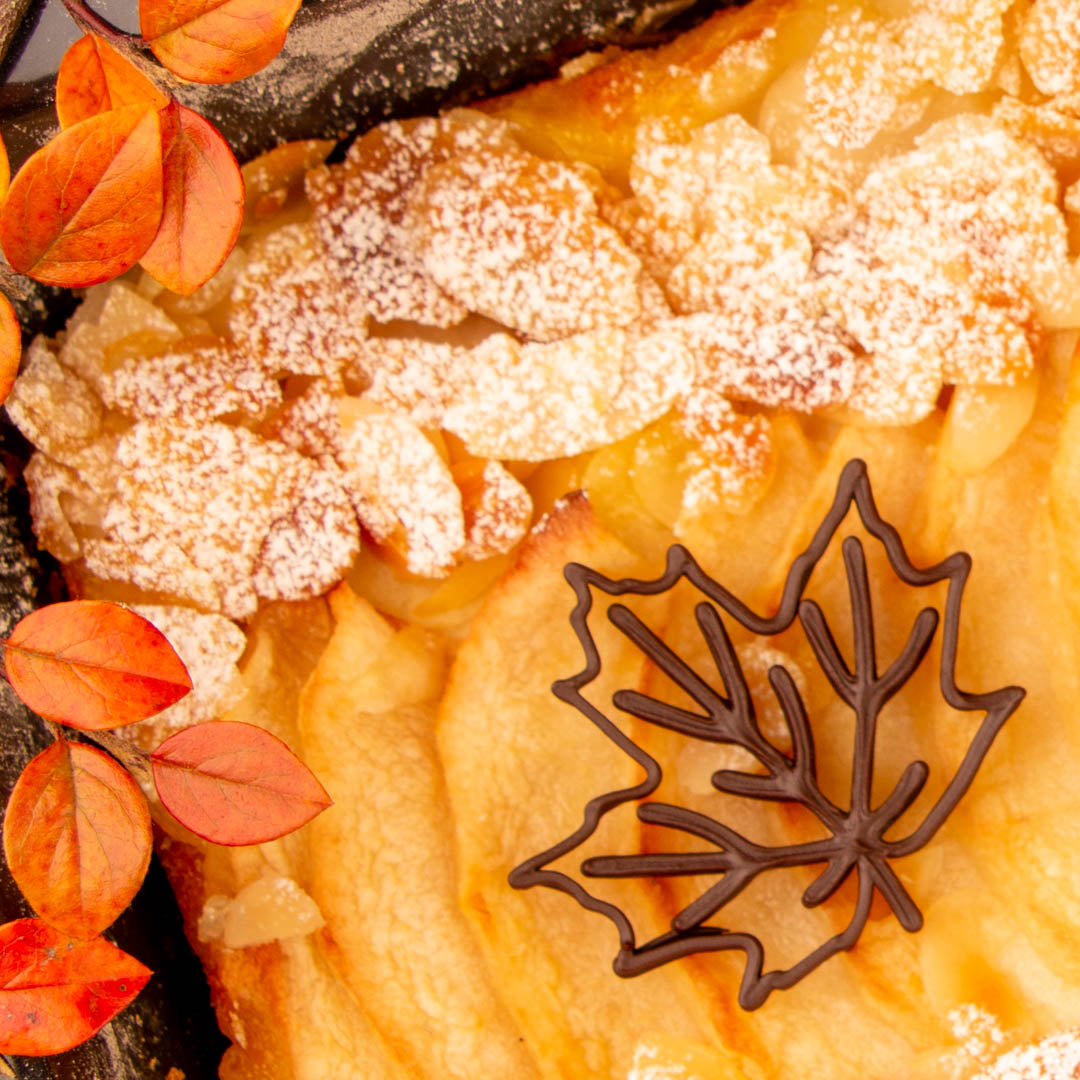 Aprikosenkuchen mit Tortendekor aus 3D Choco Dark ein Ahornblatt